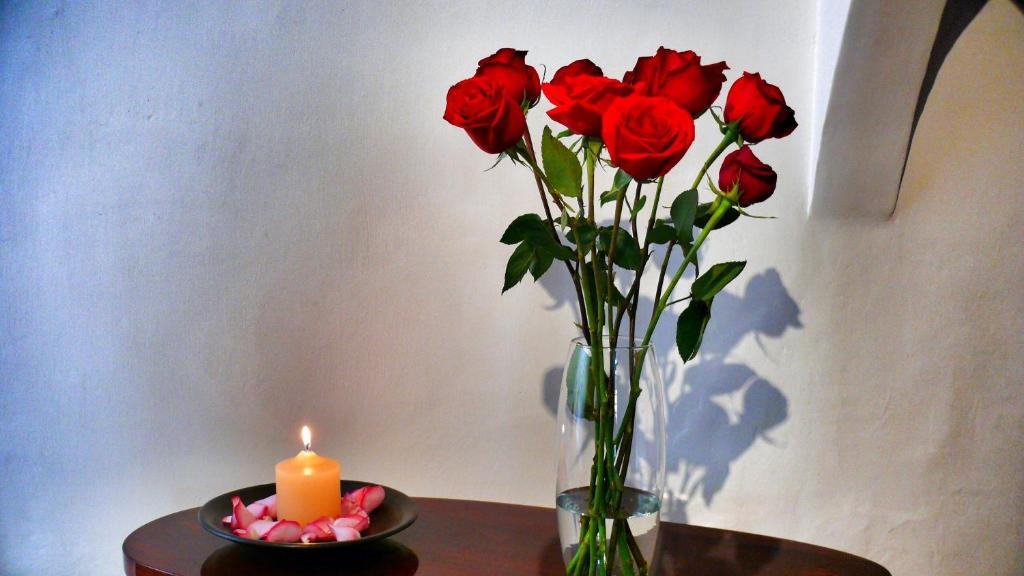 Casa De Las Rosas Cuenca Exteriér fotografie