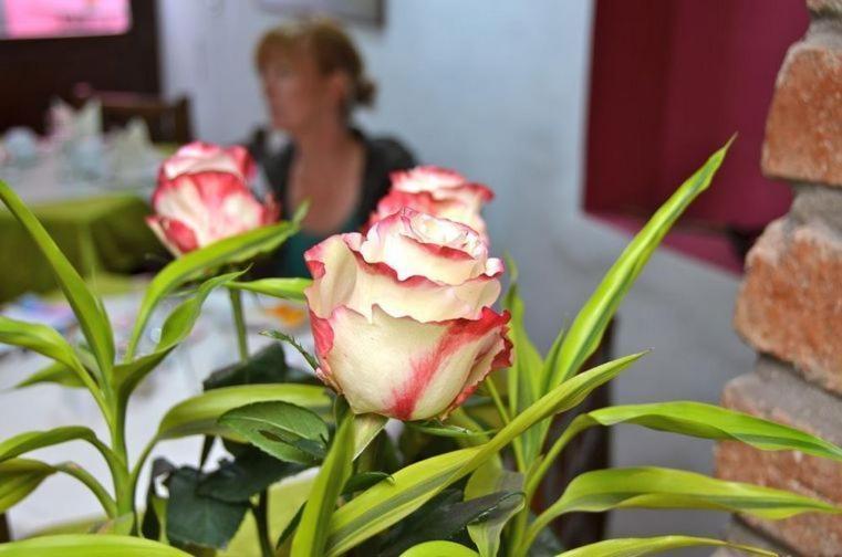 Casa De Las Rosas Cuenca Pokoj fotografie